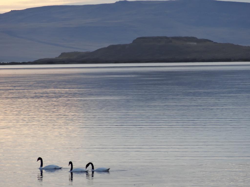 Hosteria Los Hielos El Calafate Eksteriør bilde